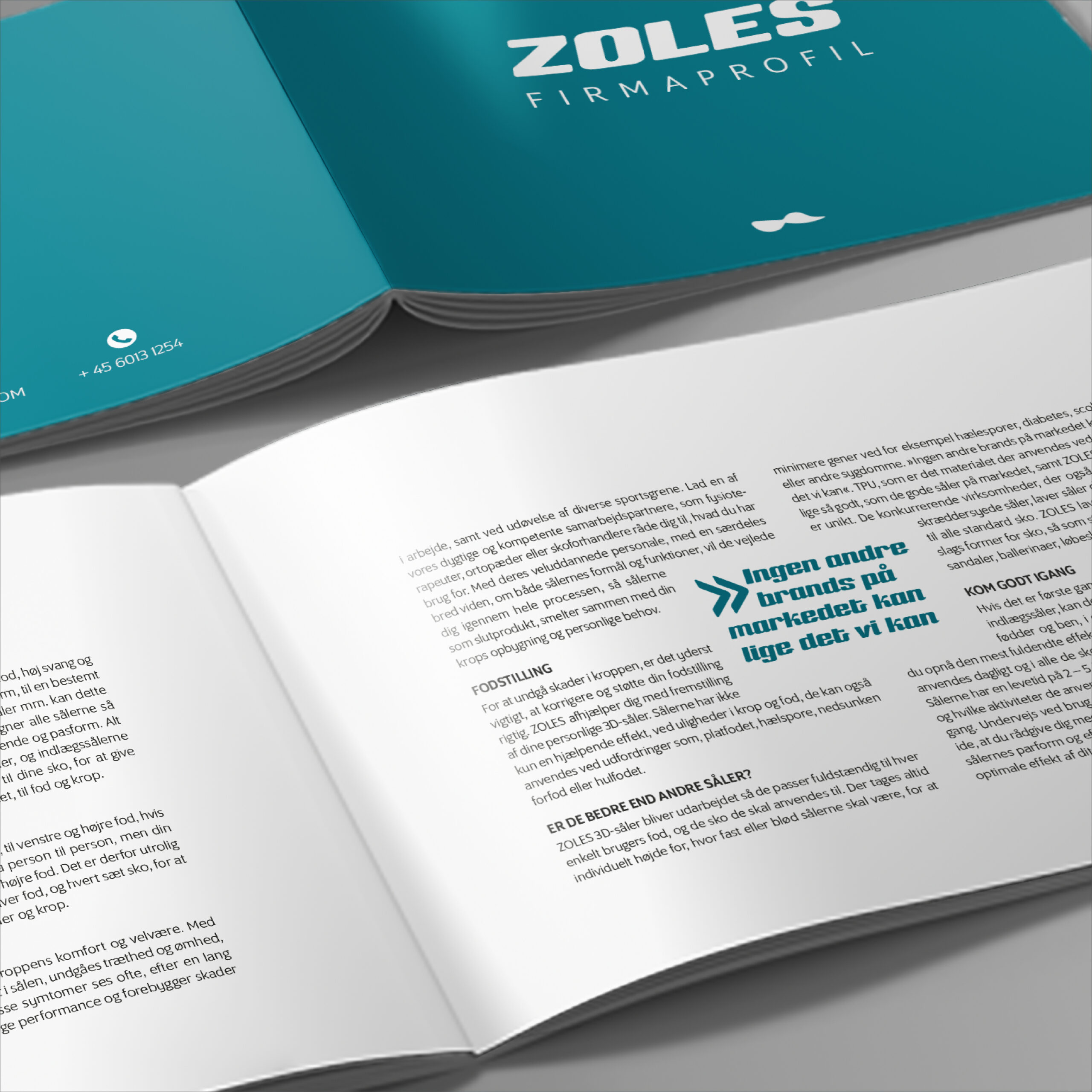 Profile brochure // Zoles