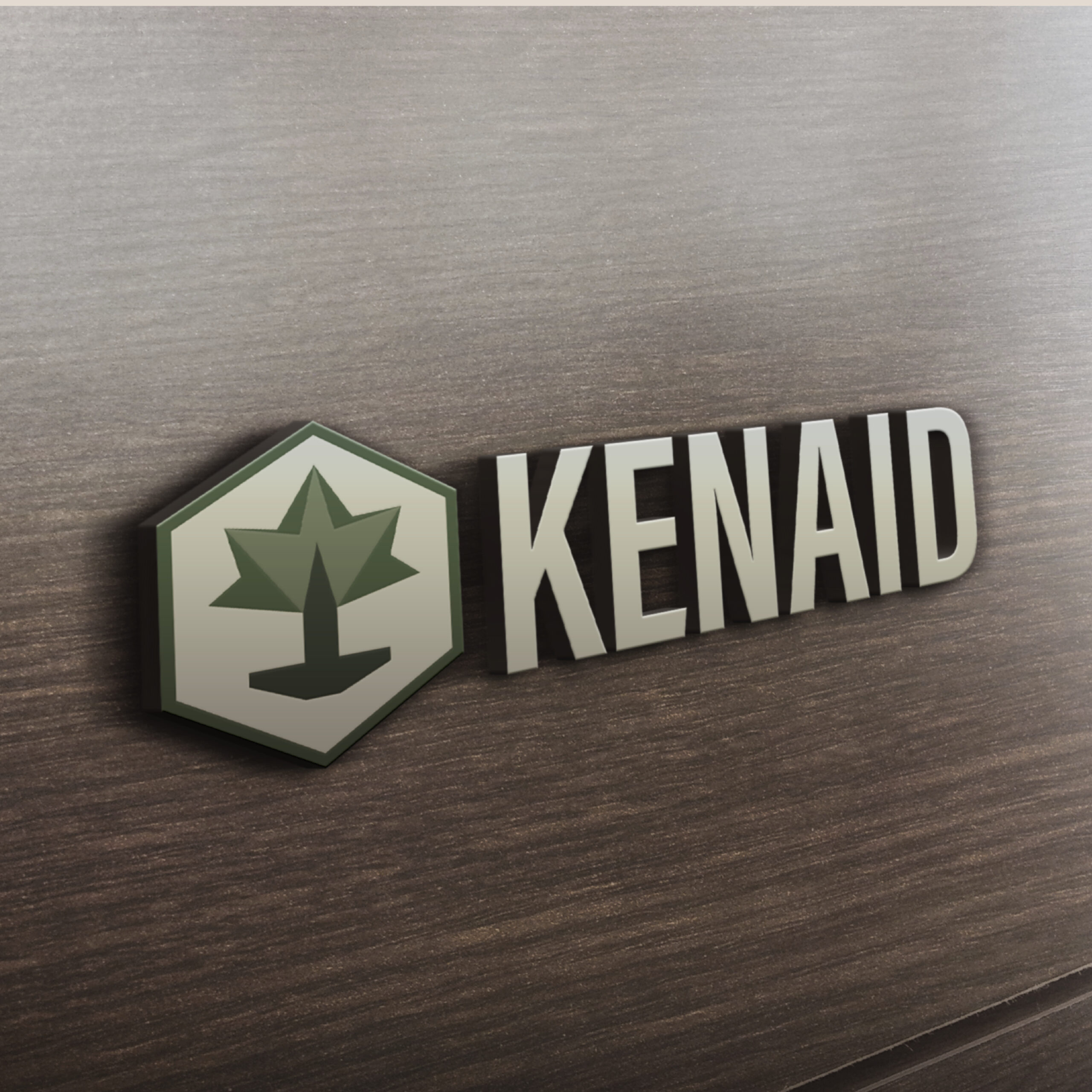 Logo // Kenaid